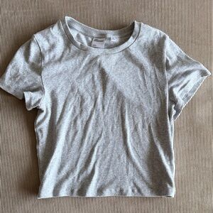 Aritzia Gray Cropped T-Shirt
